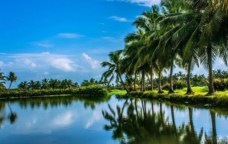 Golden Beach Home Stay Alappuzha Экстерьер фото