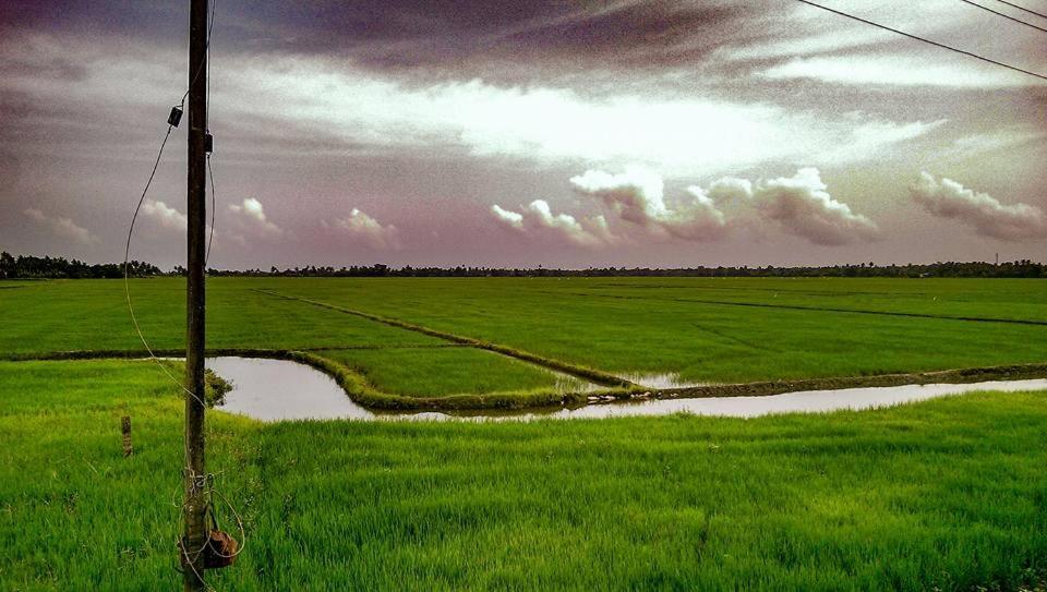 Golden Beach Home Stay Alappuzha Экстерьер фото